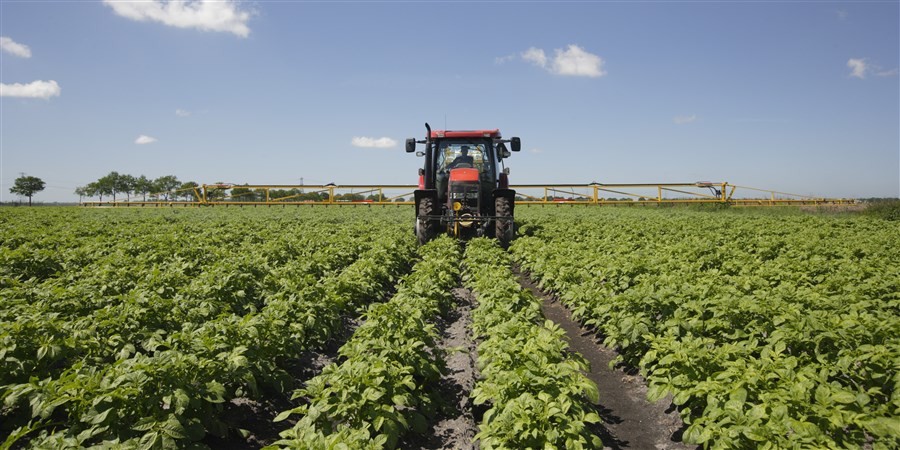 Boer spuit aardappelveld