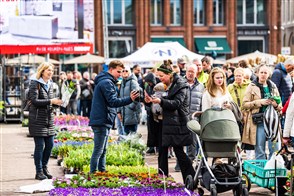 Bloemenmarkt Groningen